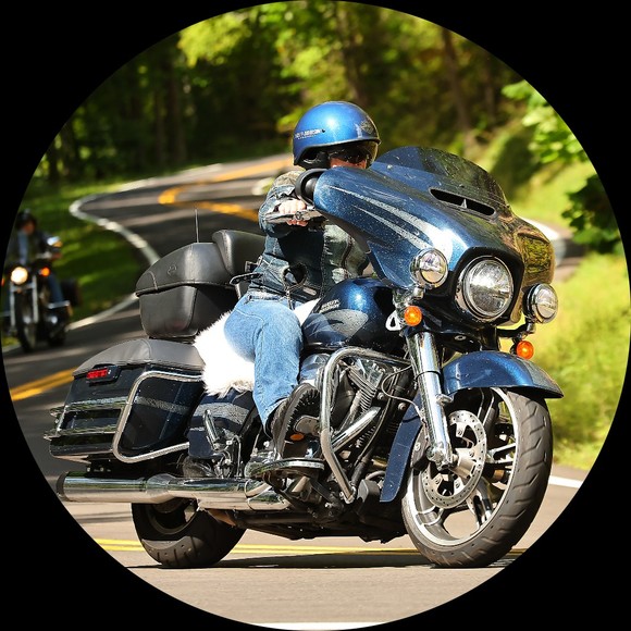 cinderellabiker